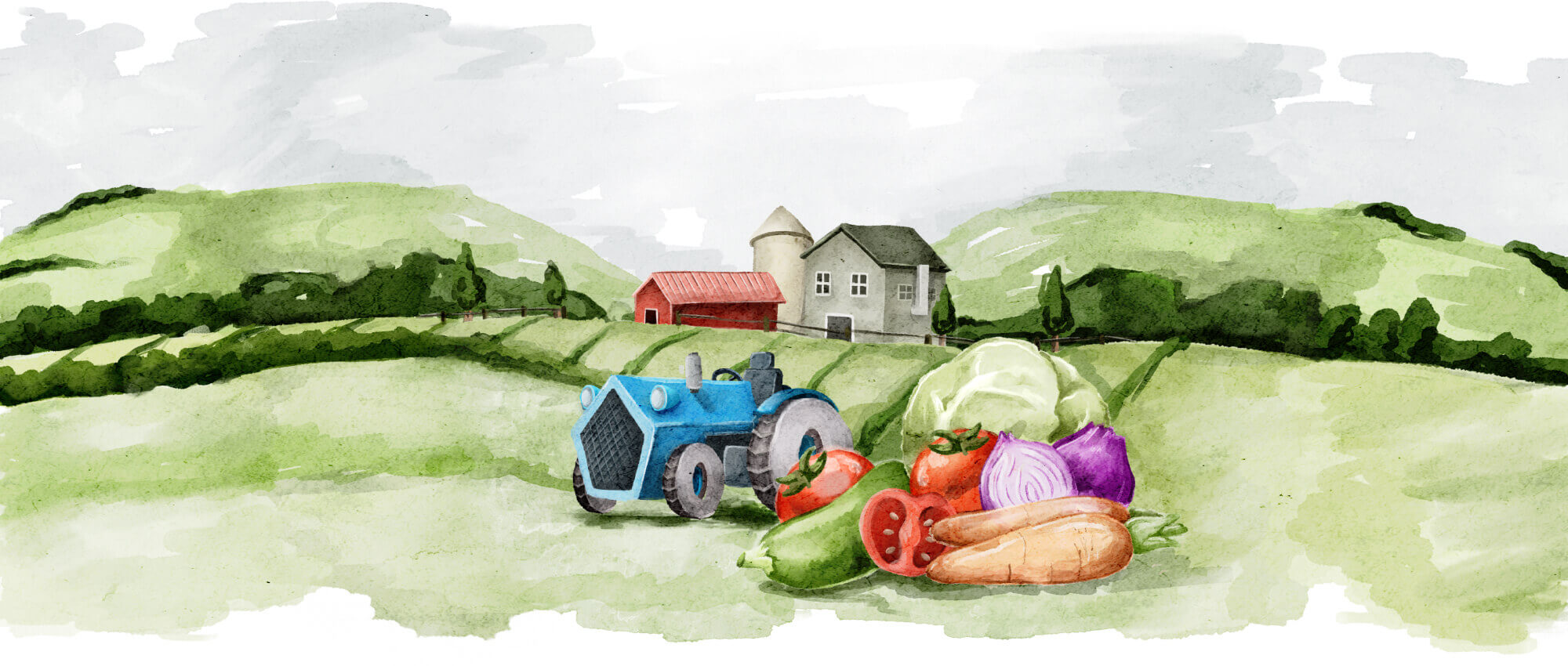 organic farming illustrations 01