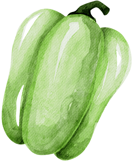 organic farming illustrations 04